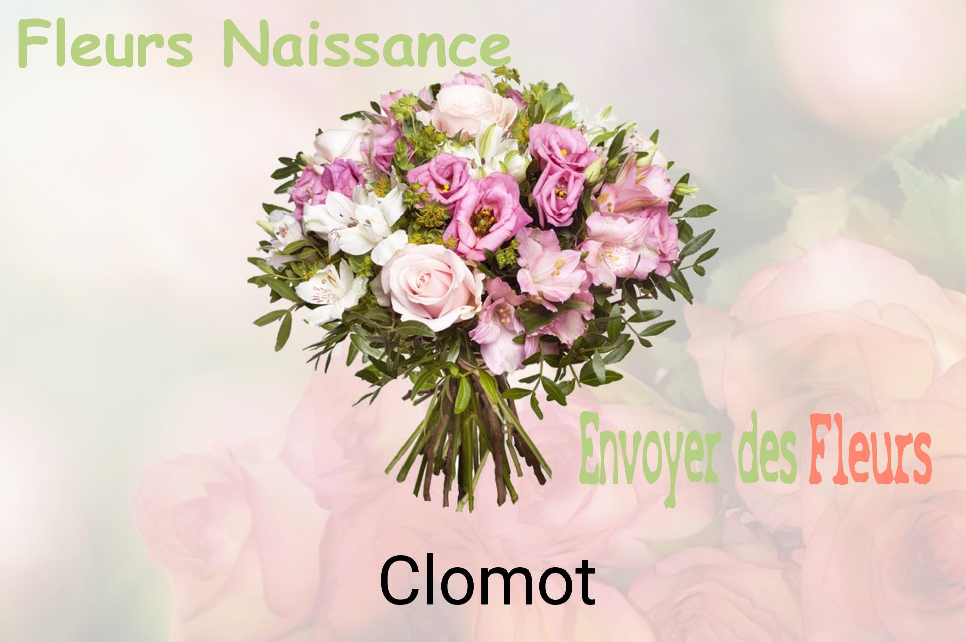 Bouquet de fleurs de naissance livré à Clomot